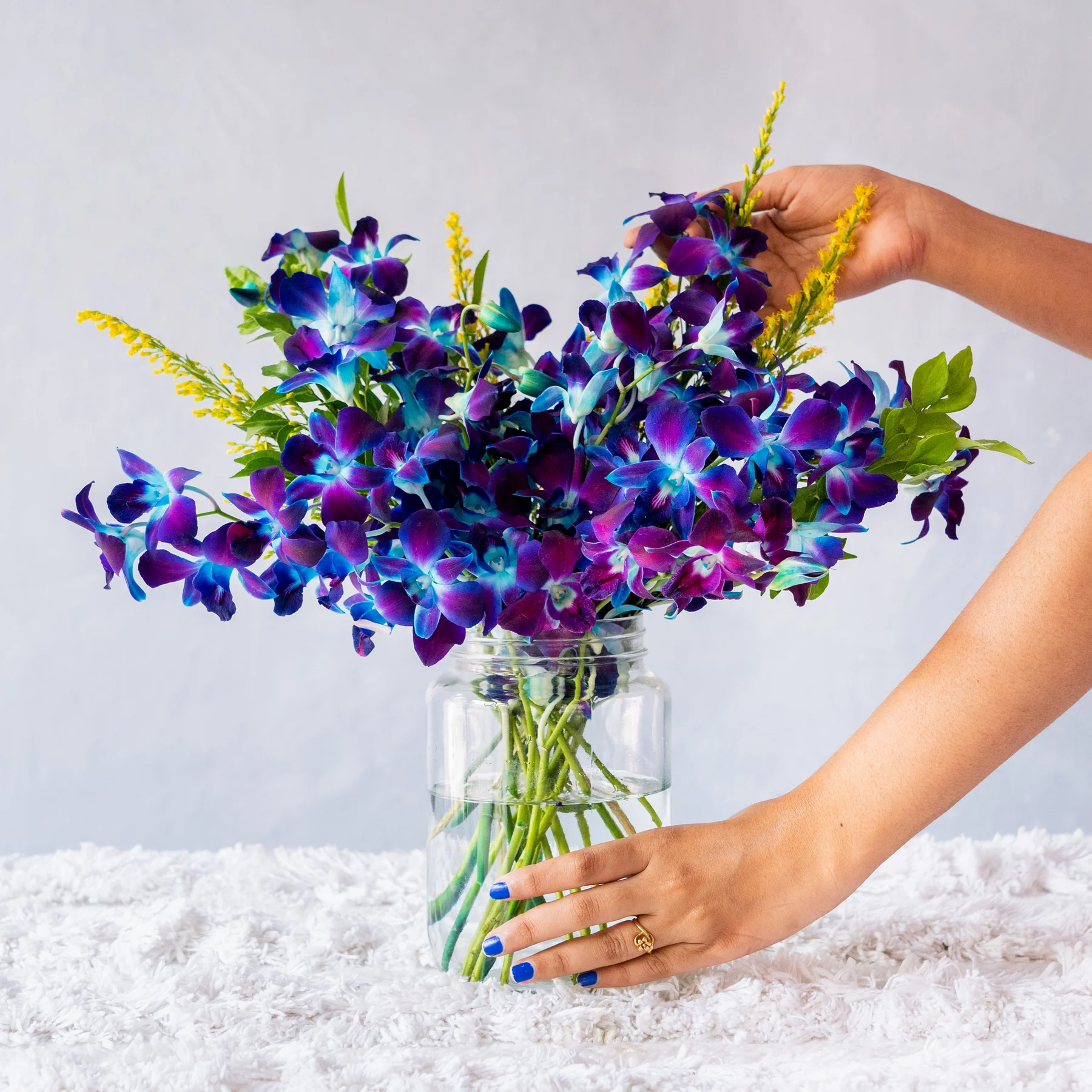 Purple Orchids - 10 STEMS