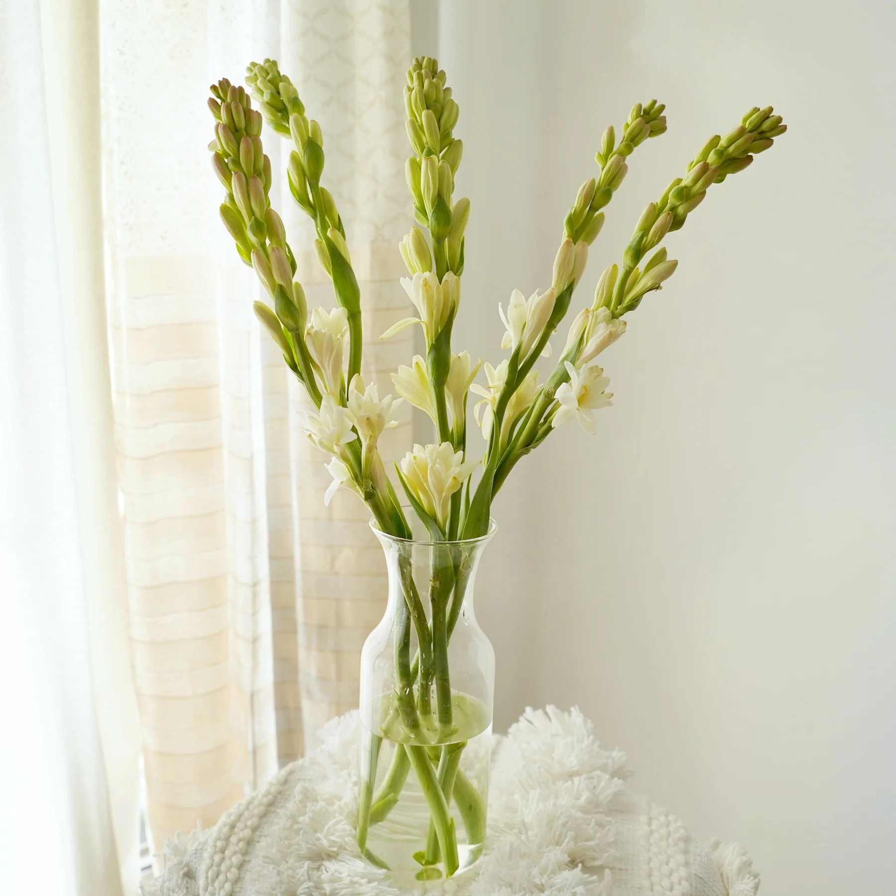 Tuberose - 10 Stems