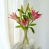 5 Stems Pink Lili - Weekly