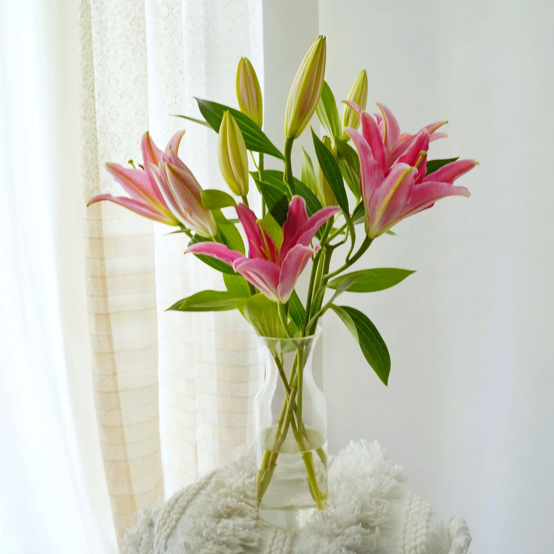 5 Stems Pink Lili - Weekly