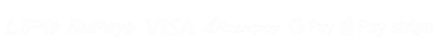 Payments-Logo